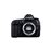CANON EOS5DMarkIVCANON - EF-24-105mm-f-4LISIIUSM